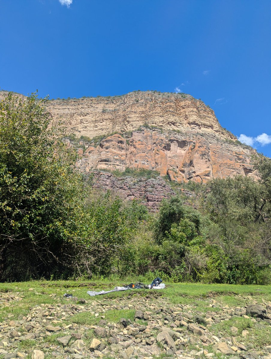 chels! ☻ tweet media