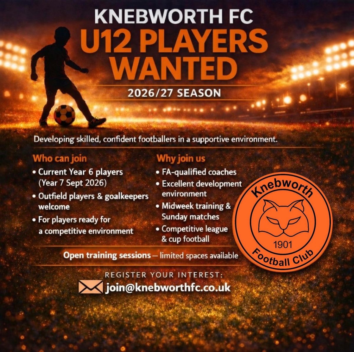 Knebworth FC tweet media