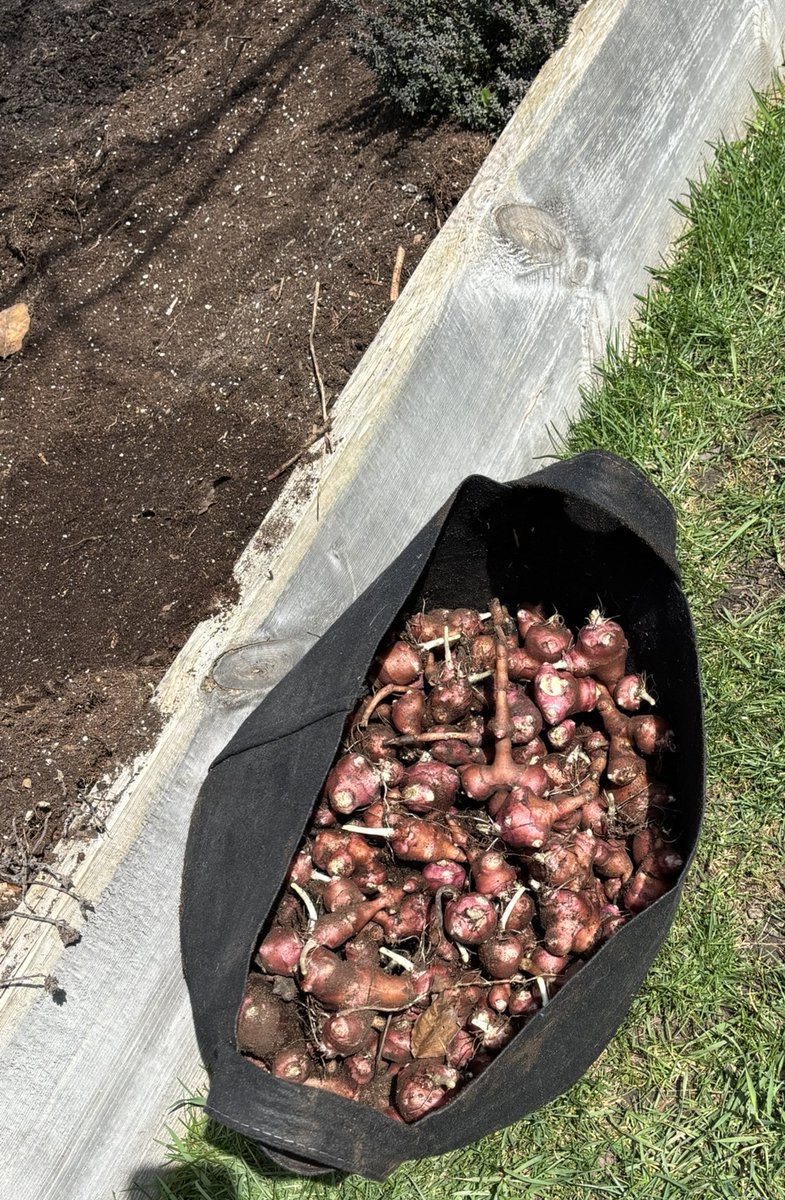 Josh Felker tweet media