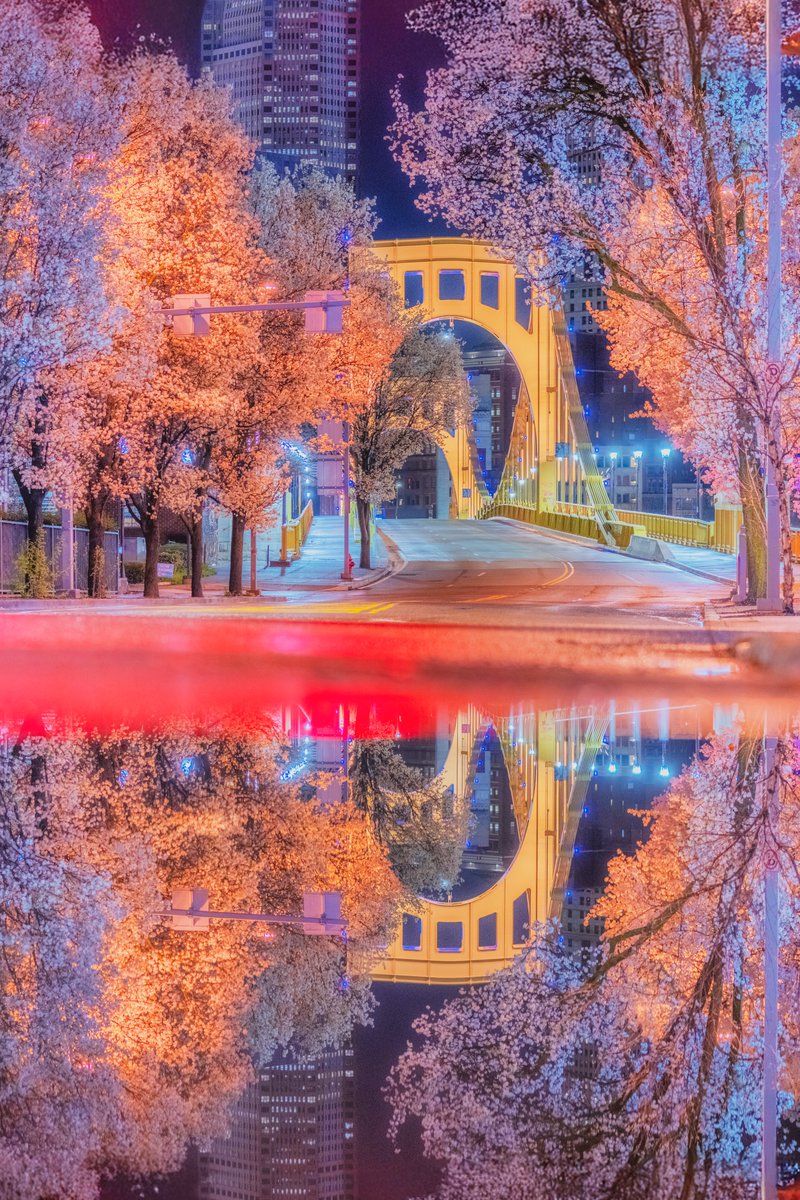 Dave DiCello tweet media