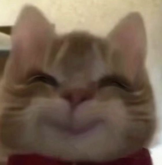 وجهي طول اليوم عشان وحدة مدحت ريحتي 🌟🌟🌟🌟🌟🌟🤞🏼🤞🏼