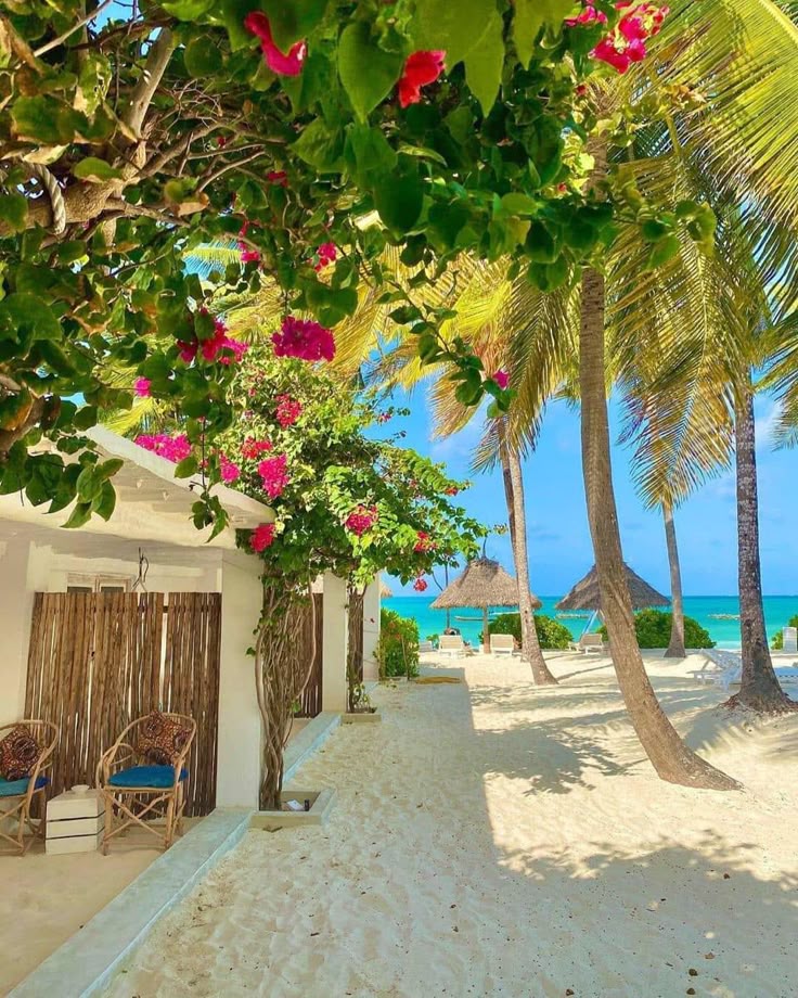 echoesofworld's tweet photo. Zanzibar https://t.co/VOqAGjykPt