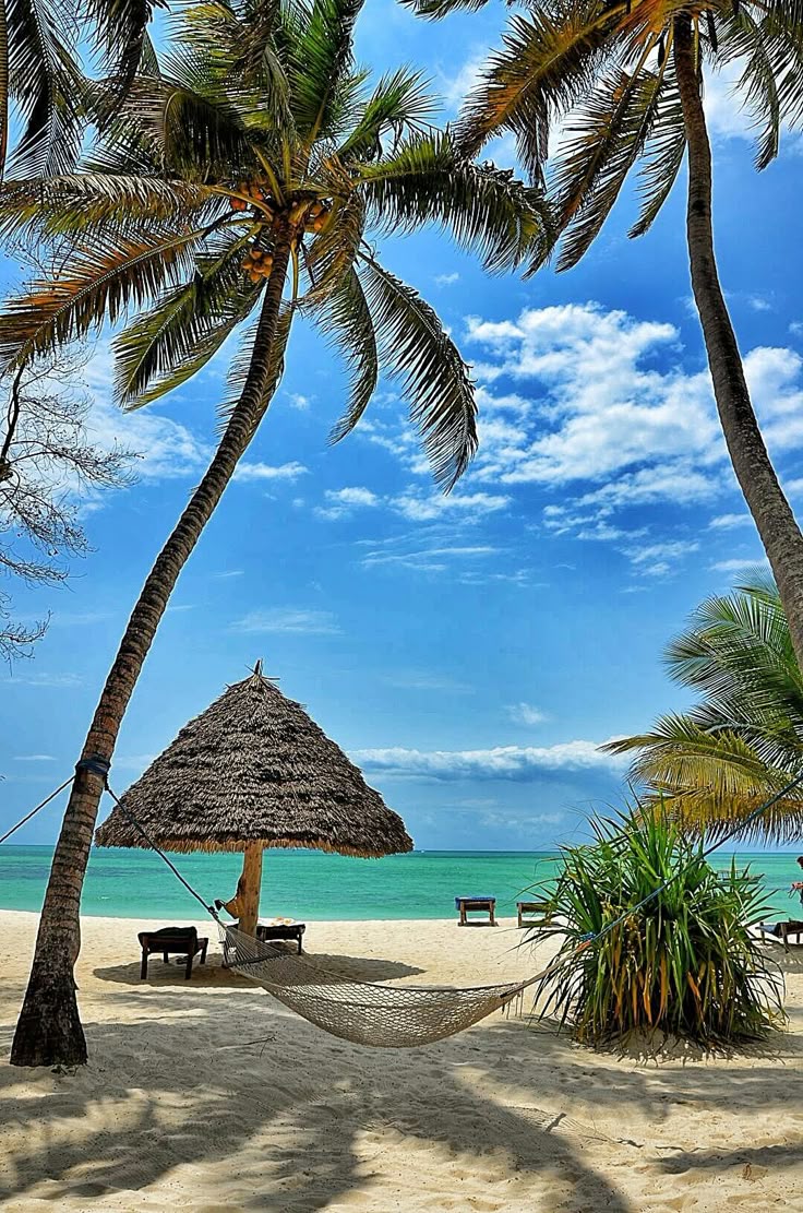 echoesofworld's tweet photo. Zanzibar https://t.co/VOqAGjykPt