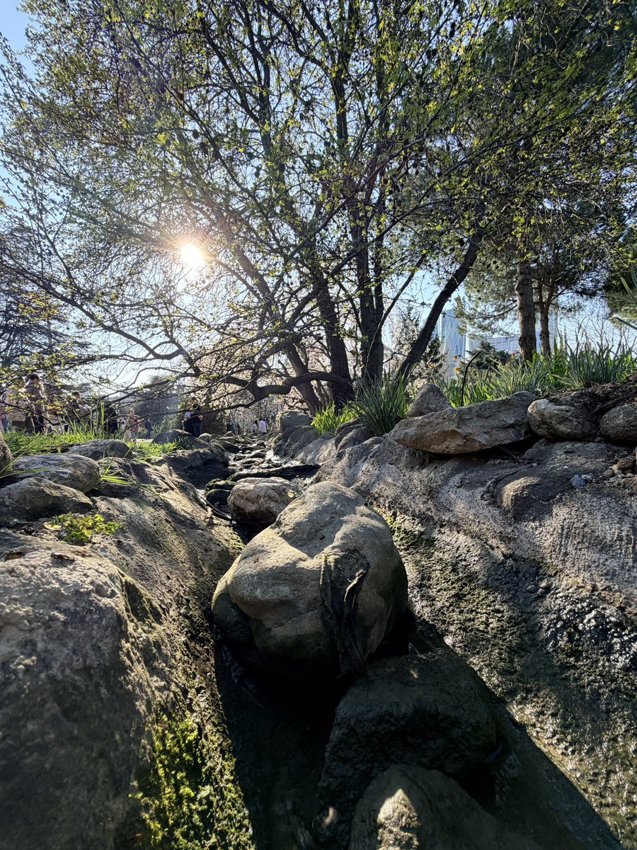 Samet Meletli tweet media