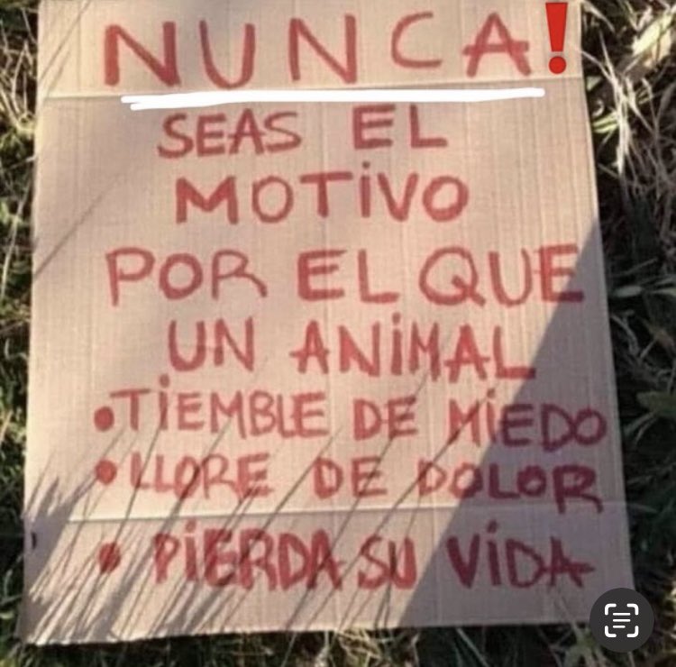 Lizbeth Quiñonez tweet media