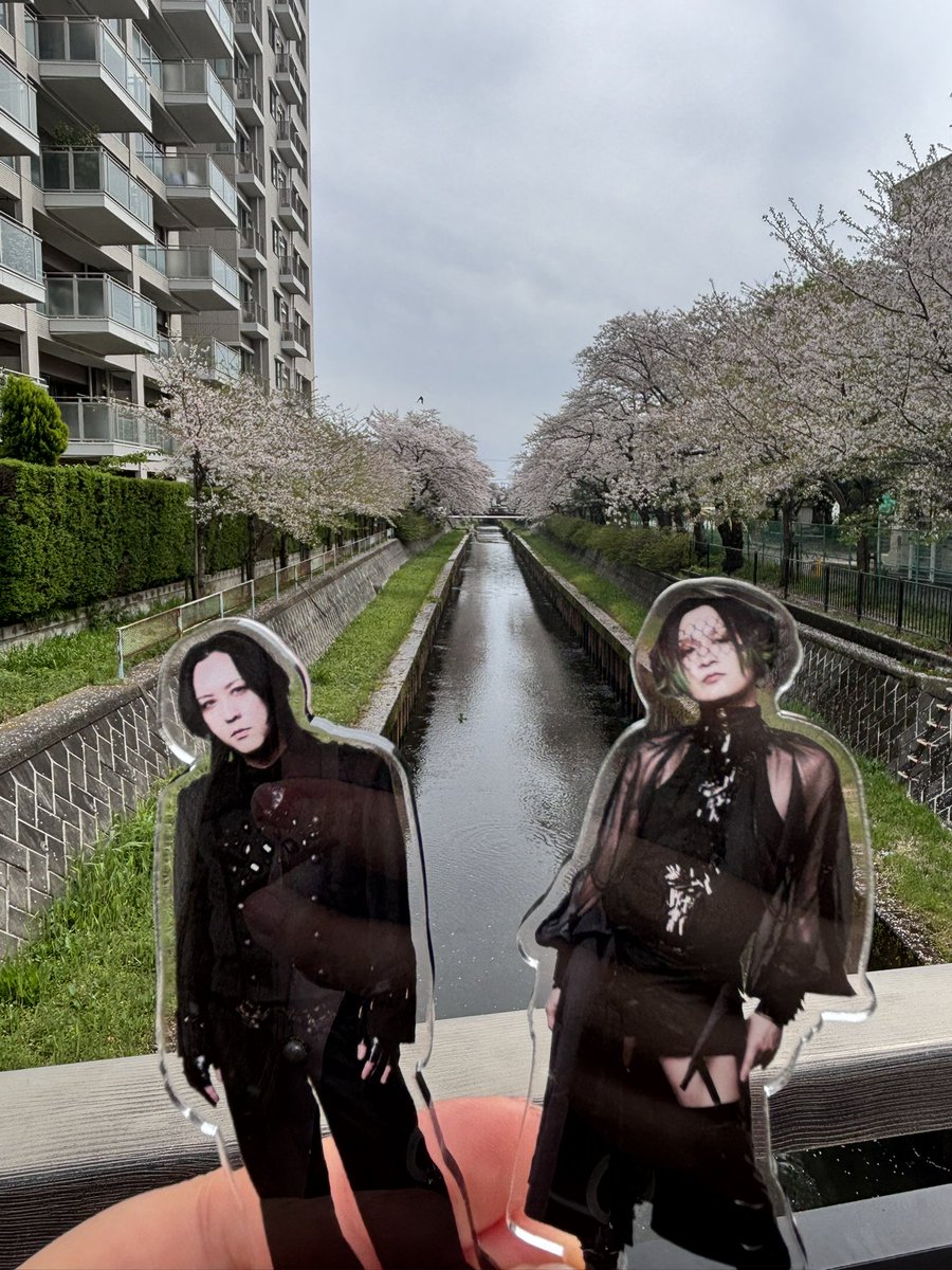 さきちょ🖤 tweet media