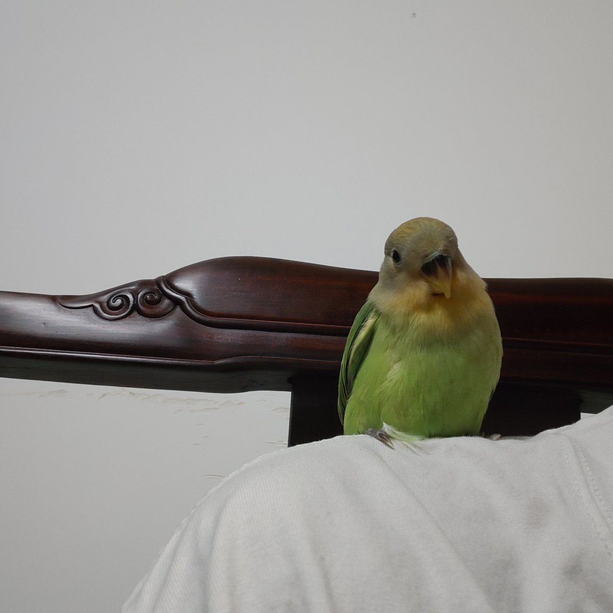 不必在意 tweet media