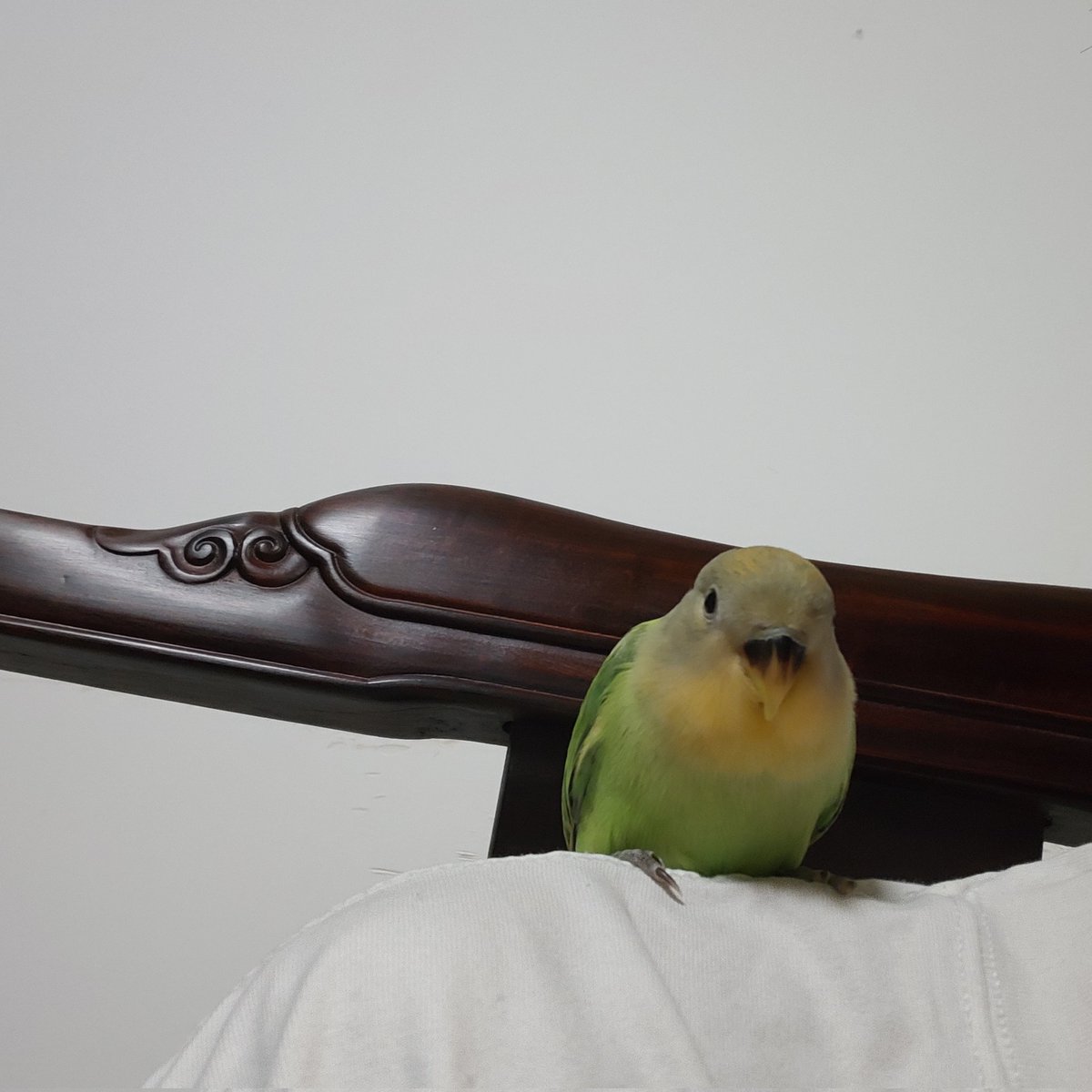 不必在意 tweet media