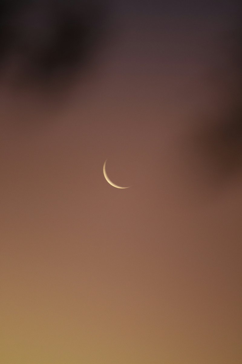 Unsplash tweet media
