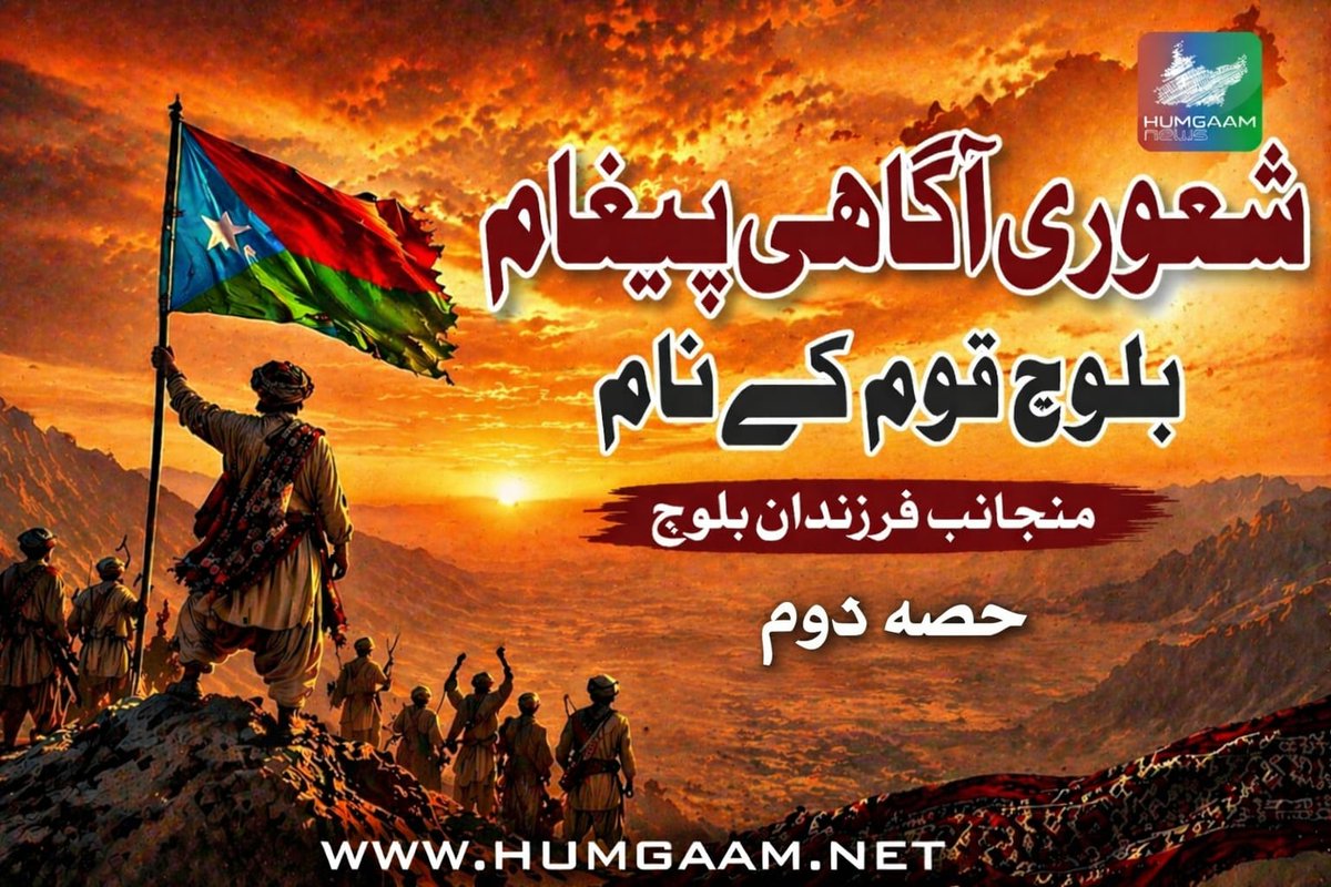 Humgaam News tweet media