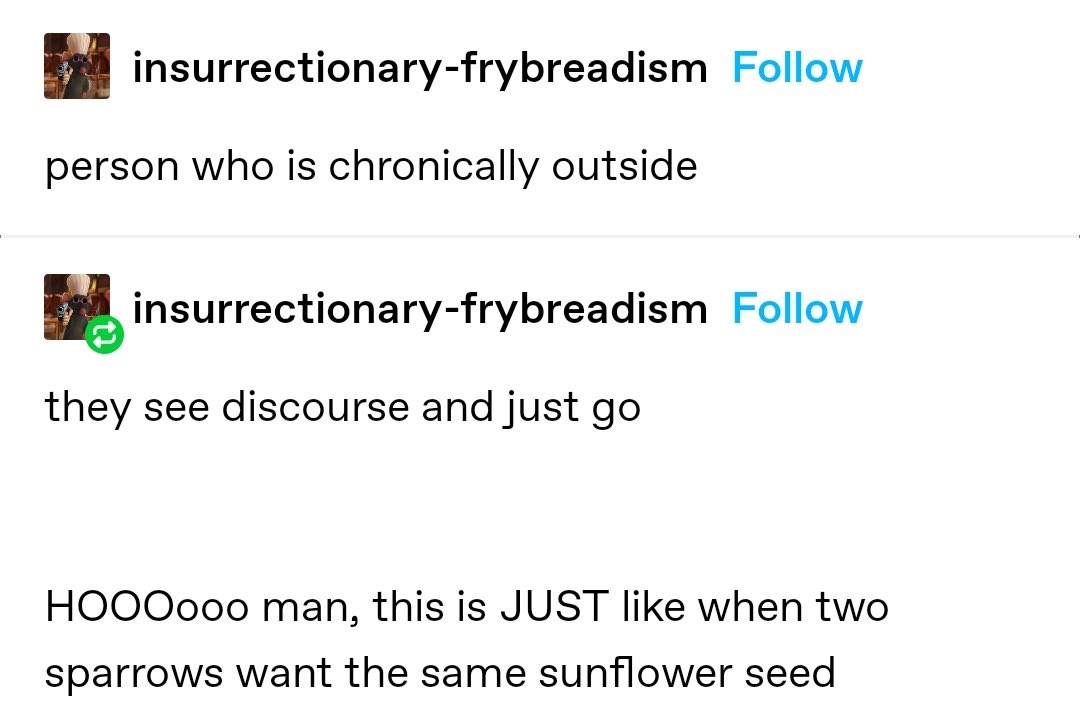 VOIDFILL🕳️ tweet media