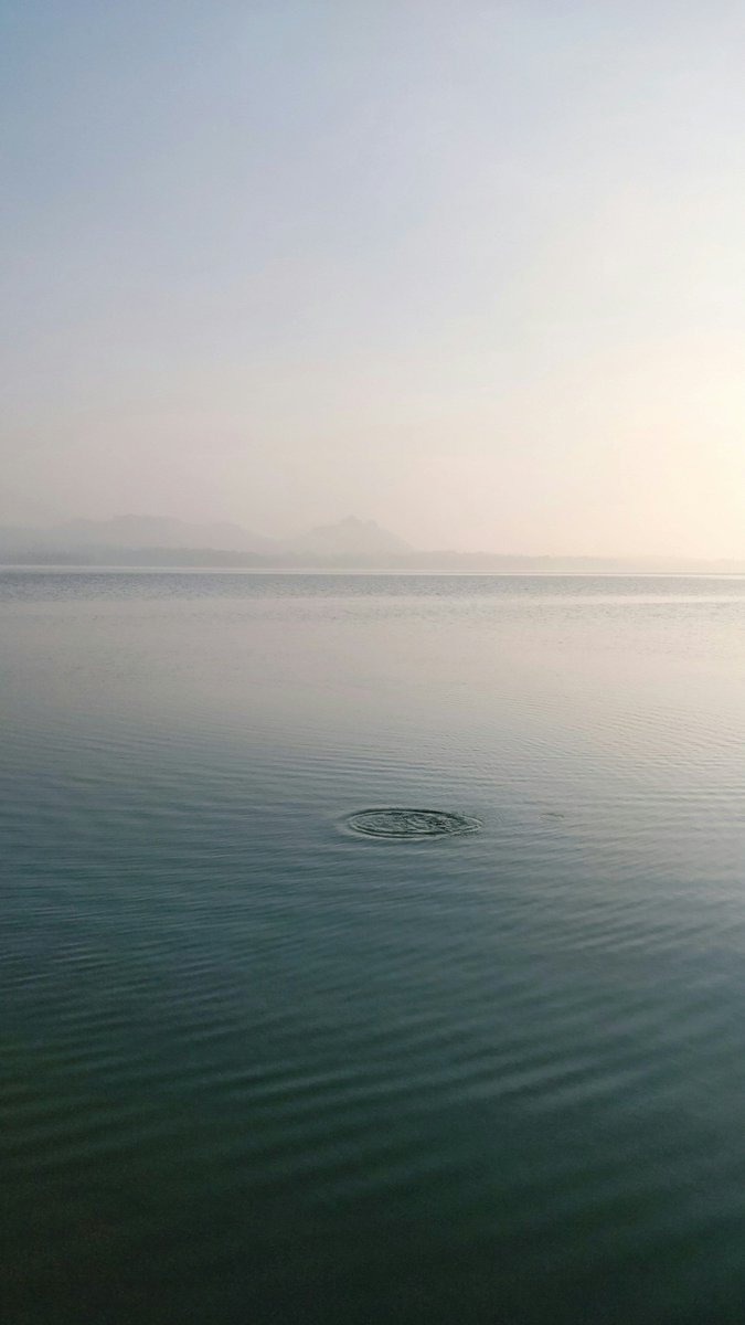 Unsplash tweet media