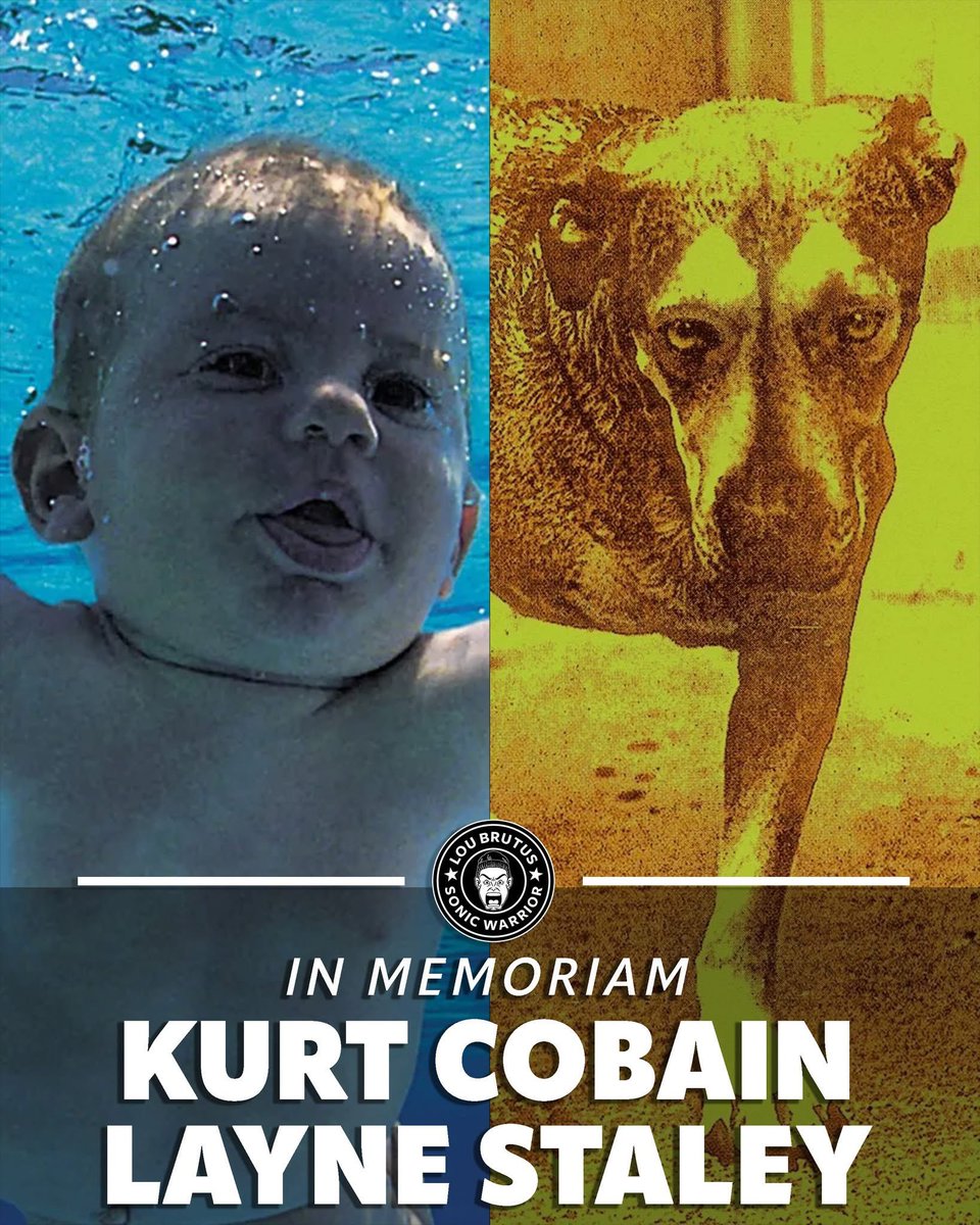 Lou Brutus tweet media