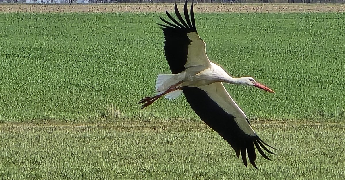 Jan Mikolajczak tweet media