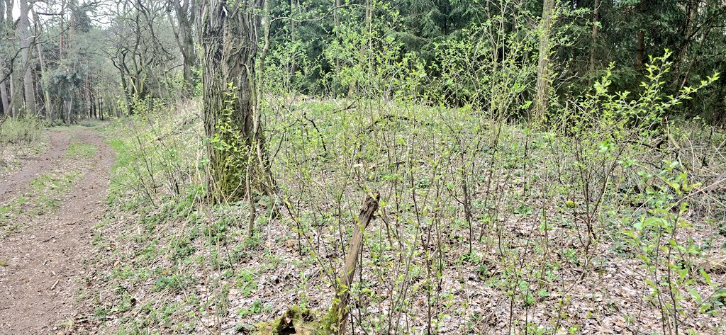 Jan Mikolajczak tweet media