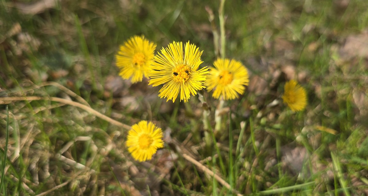 Jan Mikolajczak tweet media