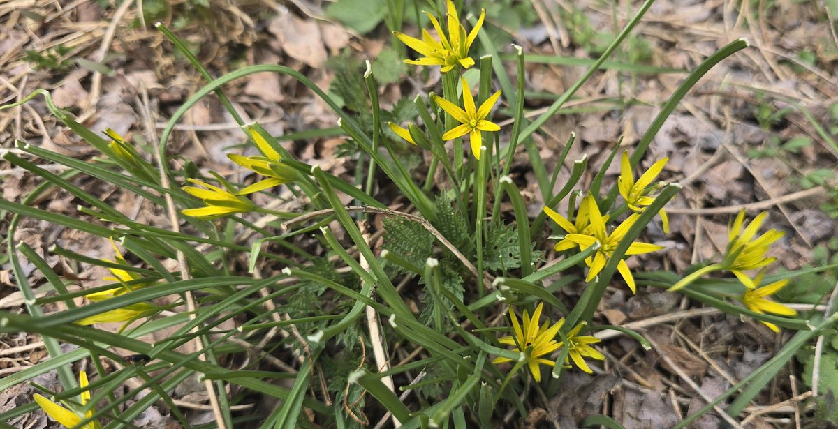 Jan Mikolajczak tweet media