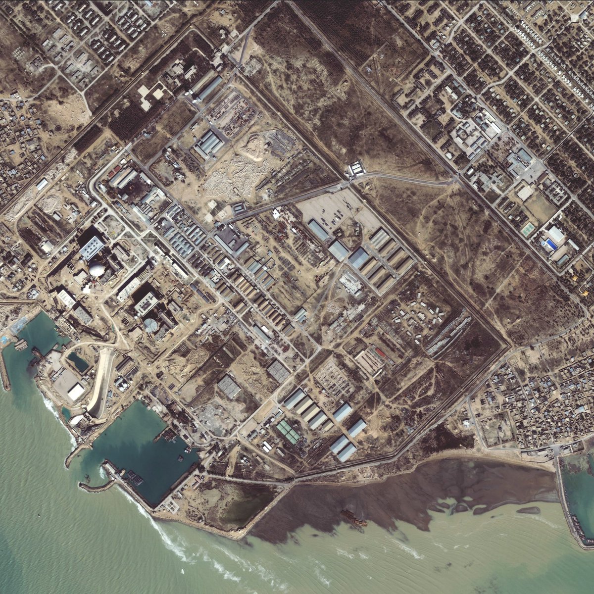 Enséñame de Ciencia tweet media