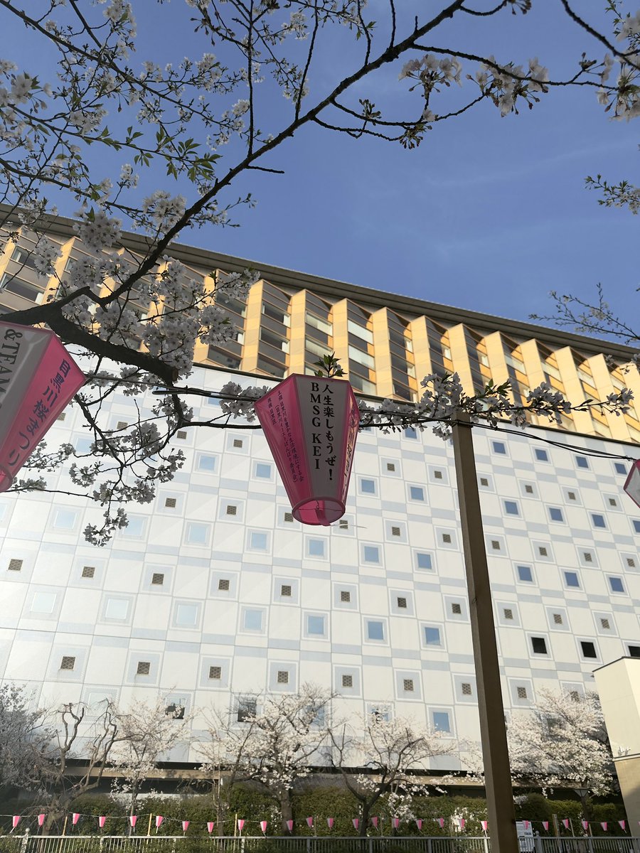 みゆ⭐️ tweet media