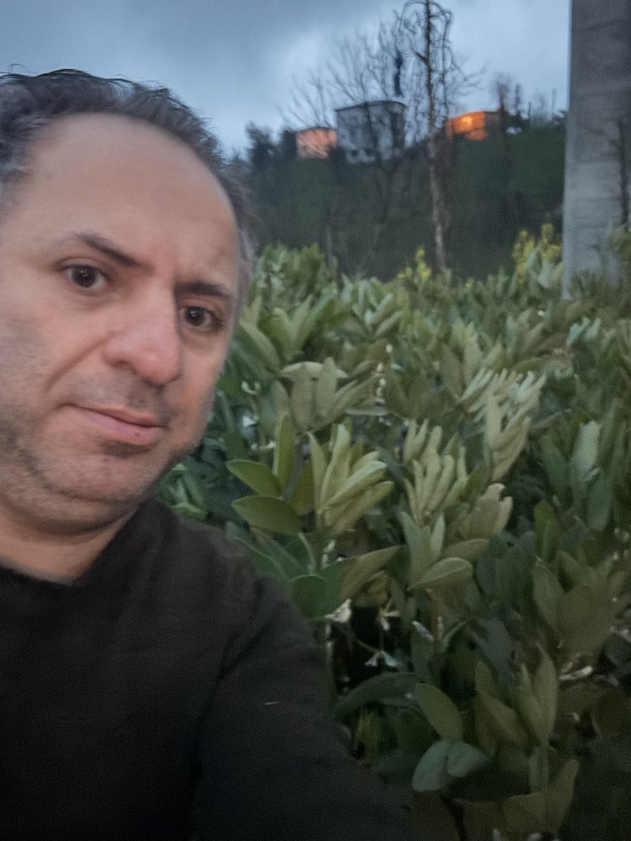 Fatih Çolak tweet media