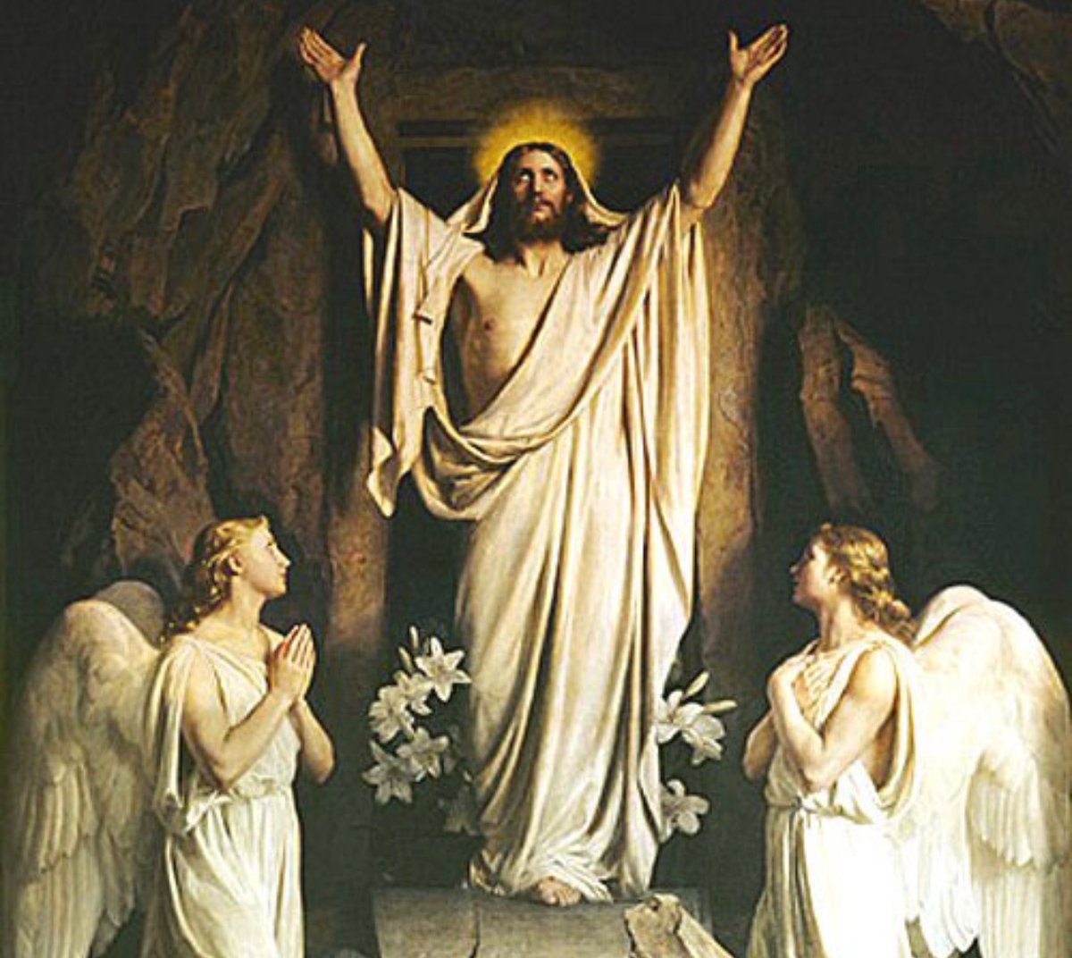 Brandon Gill tweet media