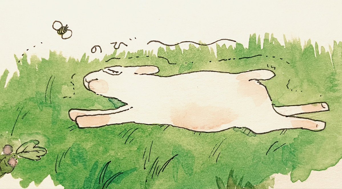 山雀🦚 tweet media