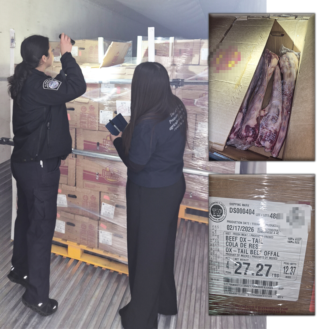 DFOFlorida's tweet image. From carton inspections to documentation checks, @CBP Agriculture Specialists at the World Trade Bridge in Laredo help protect the U.S. food supply every day. #APP @DFOLaredo