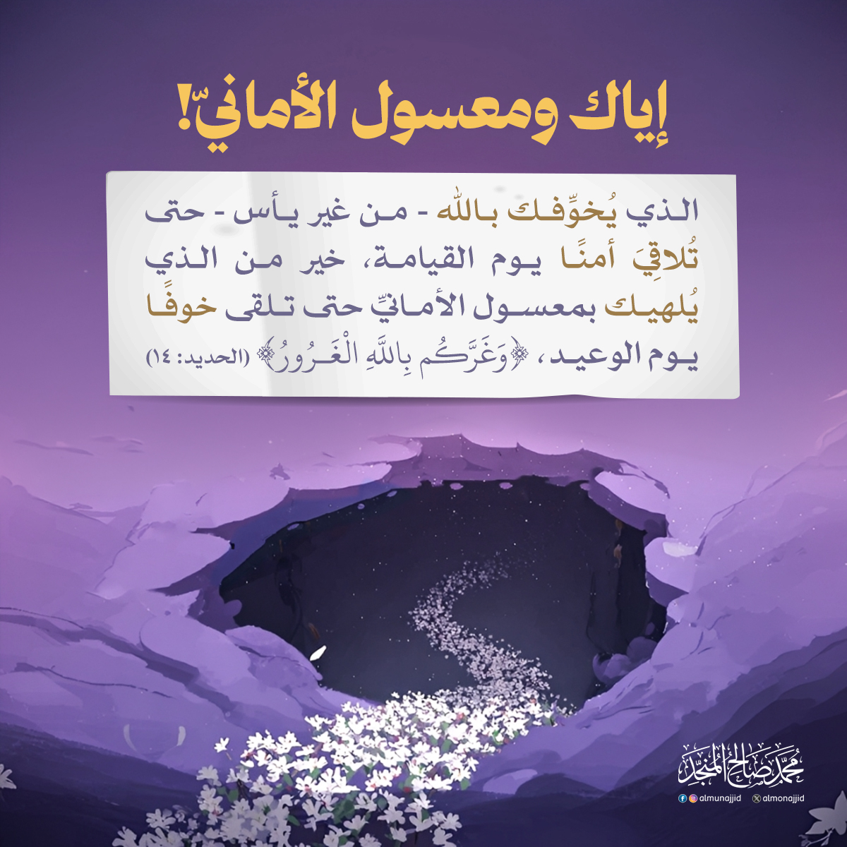 محمد صالح المنجد tweet media