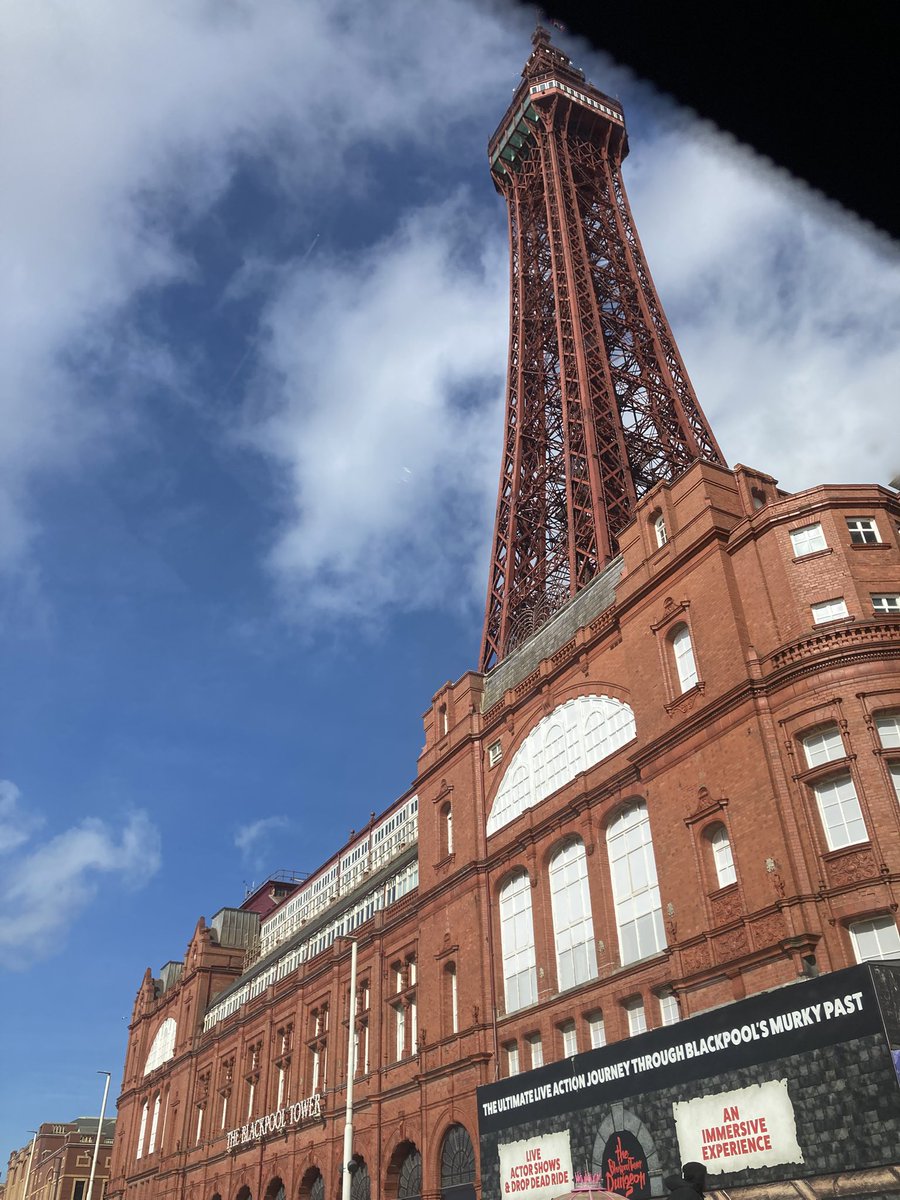 Tries to be Cam 🏴󠁧󠁢󠁳󠁣󠁴󠁿🐝🌳 tweet media