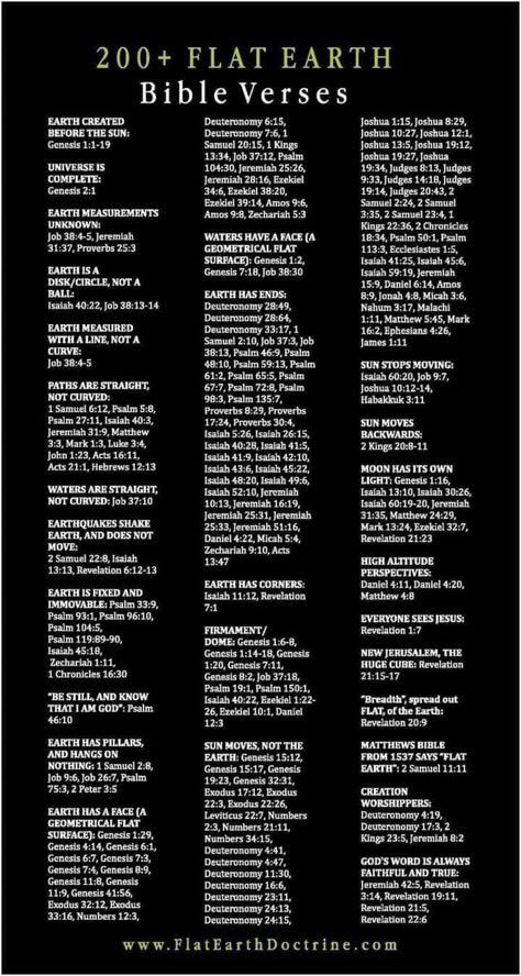 Mike Painter tweet media