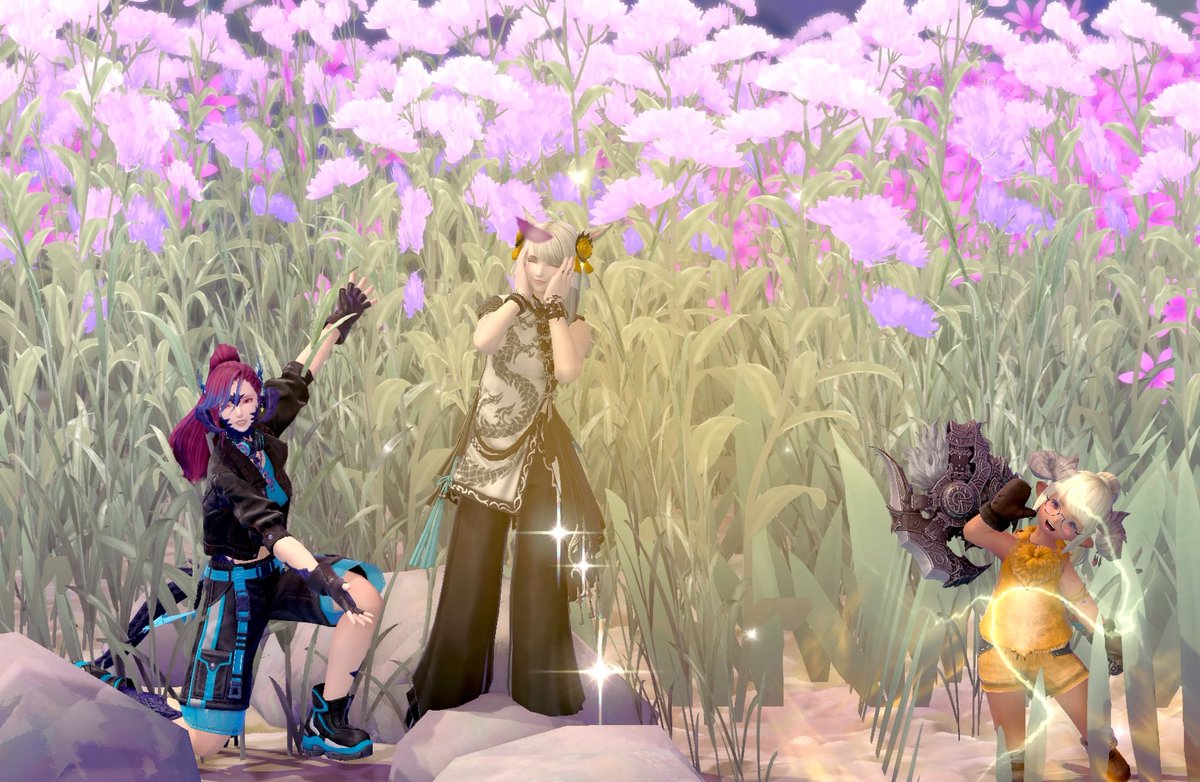 sutra☆/ff14☆Ridill tweet media