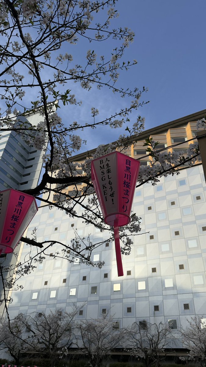 みゆ⭐️ tweet media