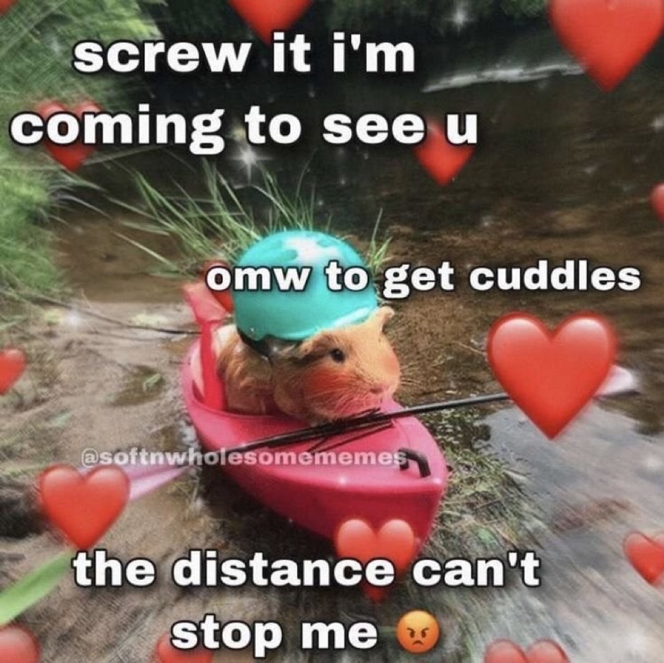 dazlyne_'s tweet photo. https://t.co/IXszqCLrT3