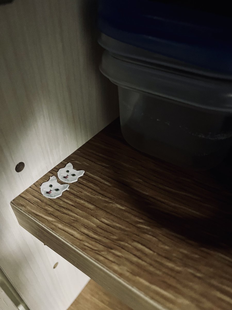 👻さみお🦈 tweet media