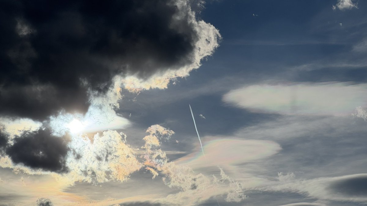 Kamil Svec tweet media