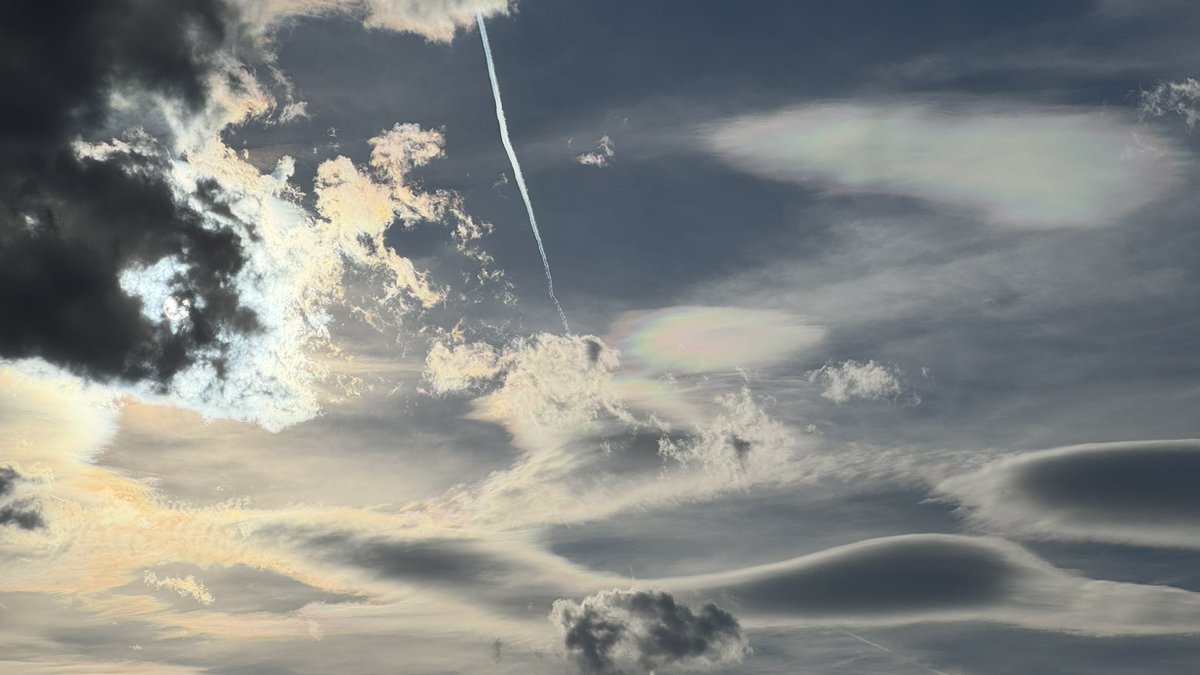 Kamil Svec tweet media