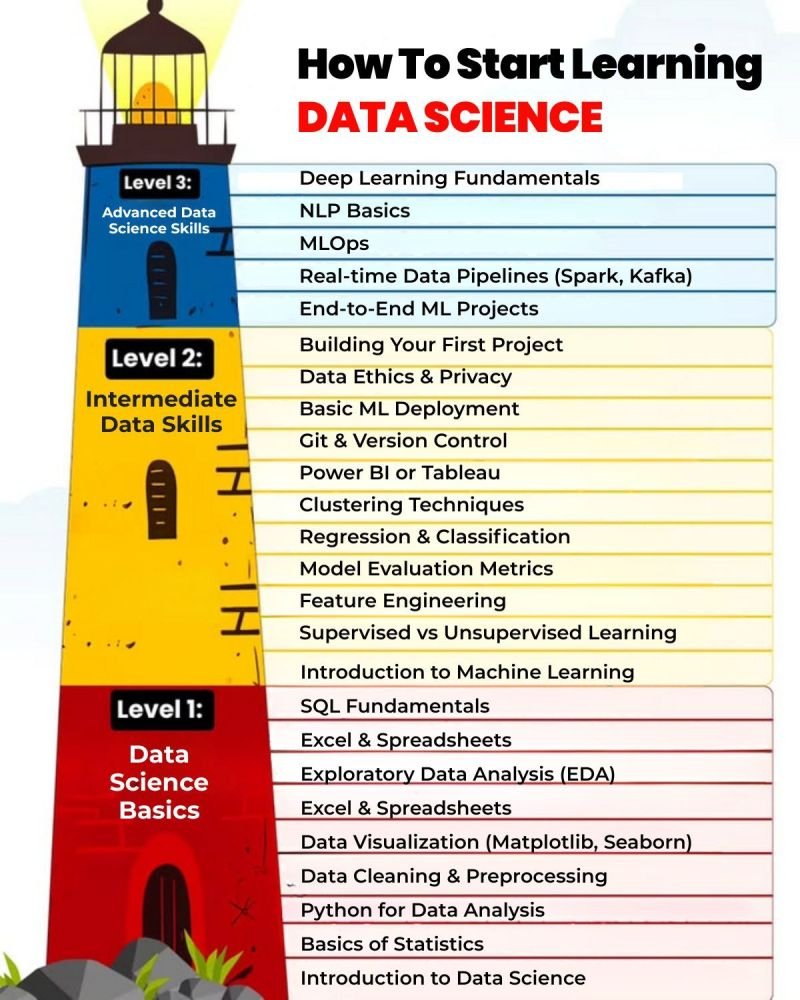 Python Programming tweet media