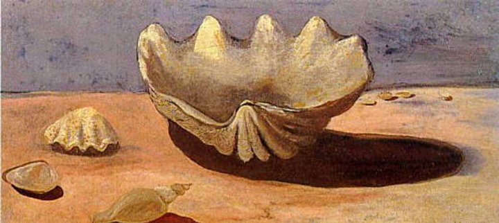 ☆カンタータ✨✨ tweet media