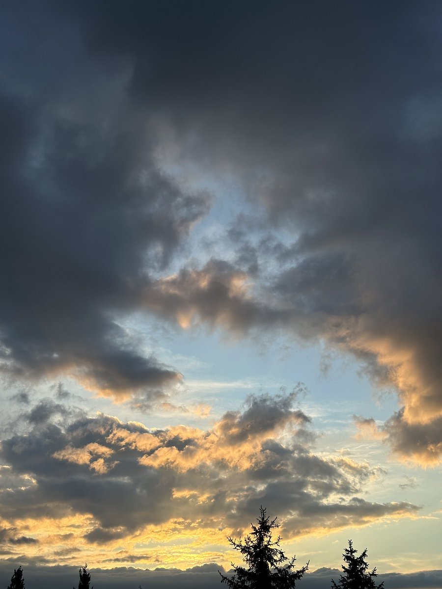 Fatih Önen 🇹🇷 tweet media