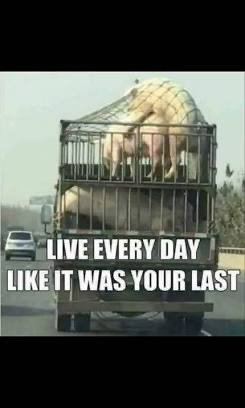 ChappaquiddickDrinker tweet media