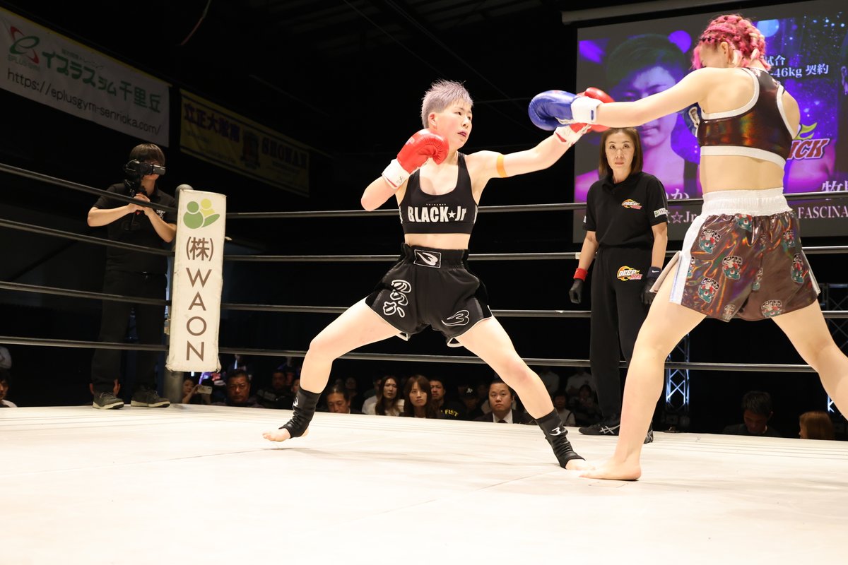 ファイターズスピリッツ tweet media