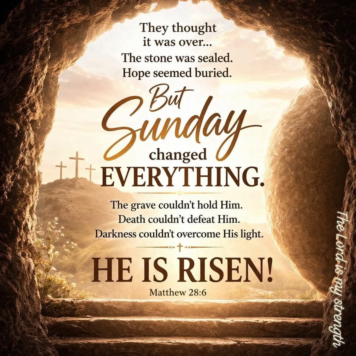 CU Aunties tweet media