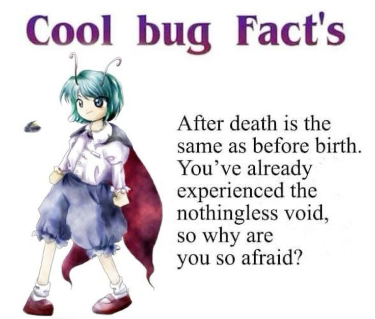 🌧️🐛io tweet media