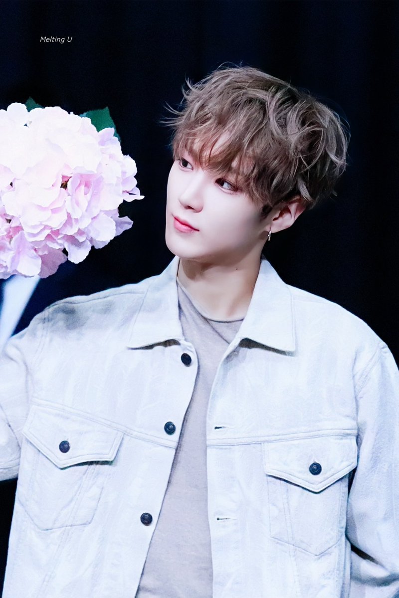 𝗠𝗲𝗹𝘁𝗶𝗻𝗴 𝗨 tweet media