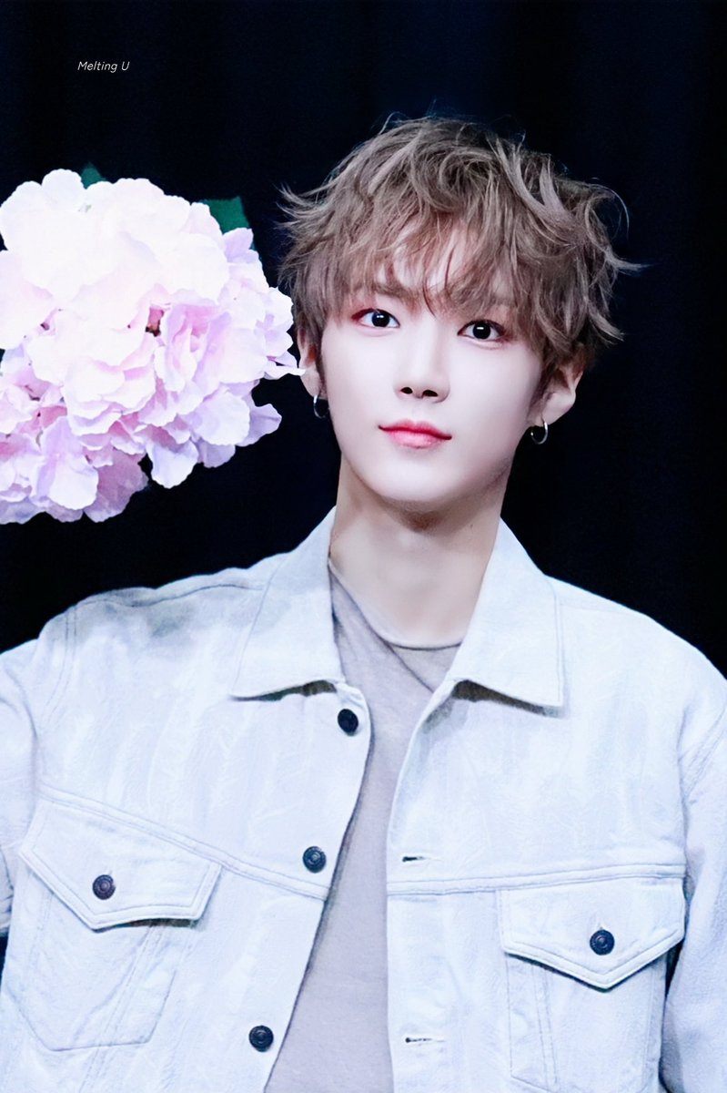 𝗠𝗲𝗹𝘁𝗶𝗻𝗴 𝗨 tweet media