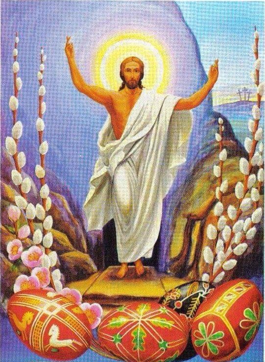 Scott Hamula tweet media