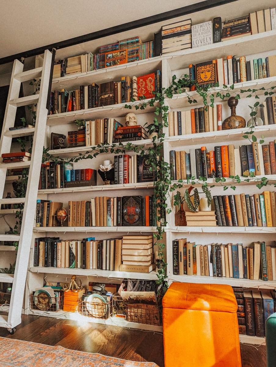 with ali tweet media