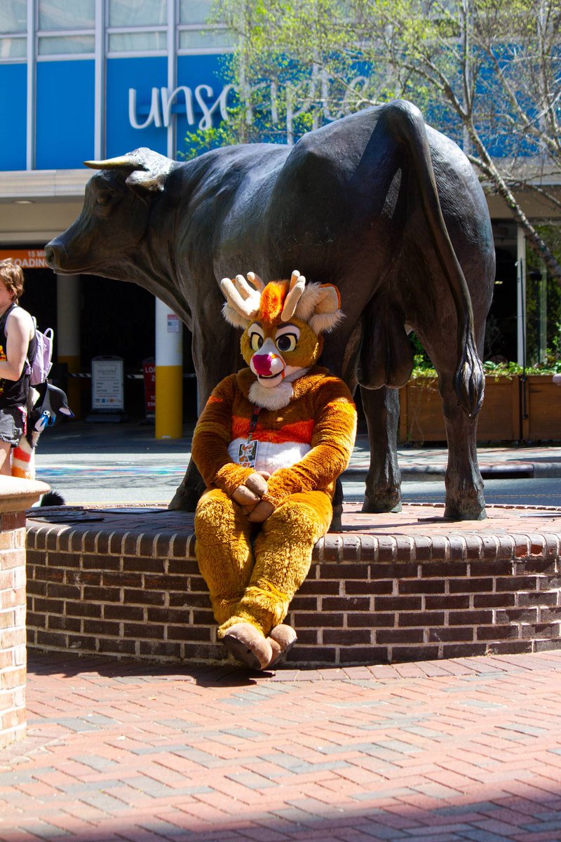 Aloy_Deer 🦌 tweet media