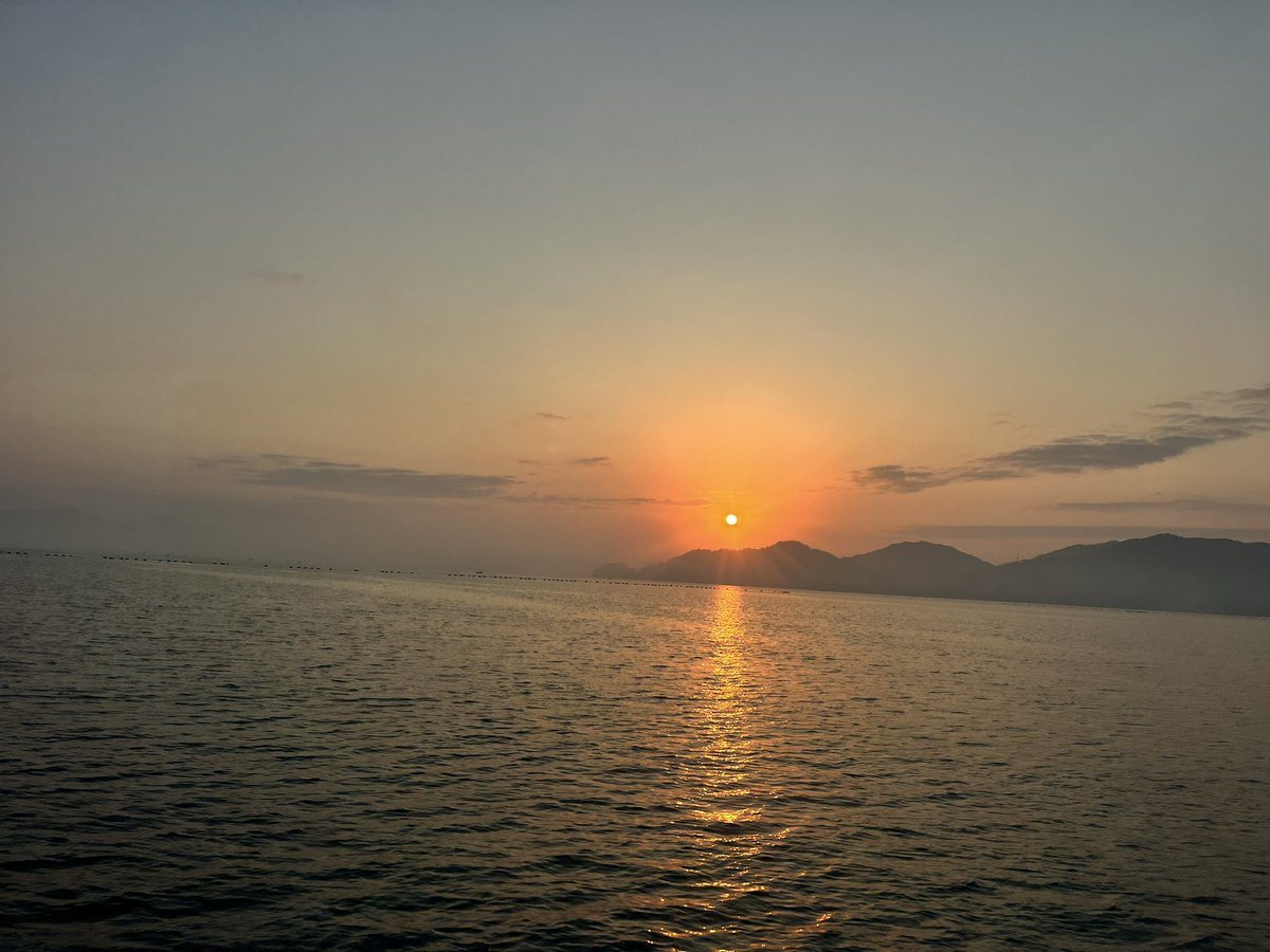 秦拓马 tweet media