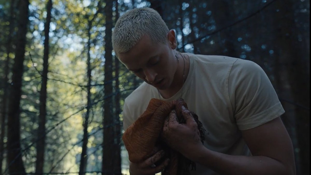 best of district 12 tweet media